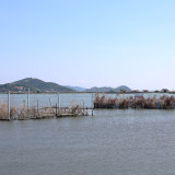 กองทุน ววน. จับมือธนาคารโลกอนุรักษ์โลมาอิรวดี ควบคู่การพัฒนา ... พารามิเตอร์รูปภาพ 2